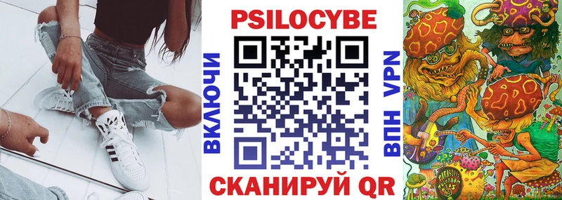 дарнет шоп  Балашиха  MEGA   Псилоцибиновые грибы мухоморы 